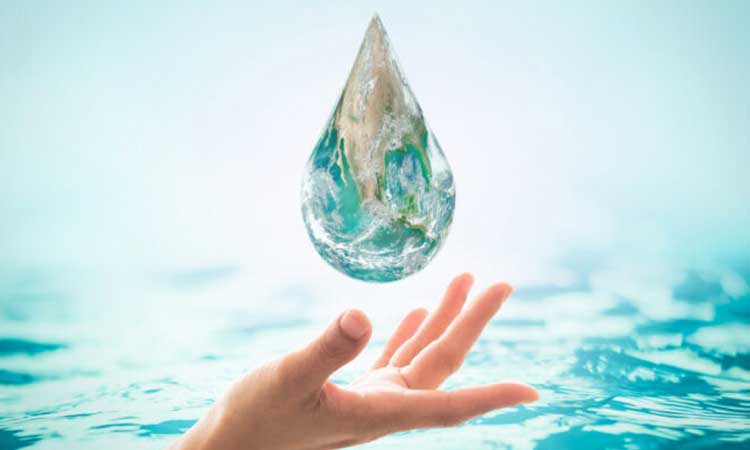 Water Conservation: Effective Ways in Which Citizens and Housing Societies Participate